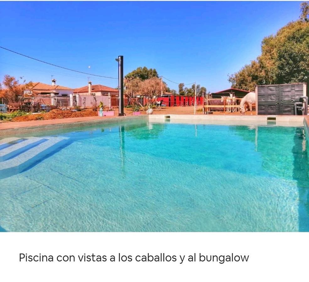Granja America Apartment Chiclana de la Frontera Bagian luar foto